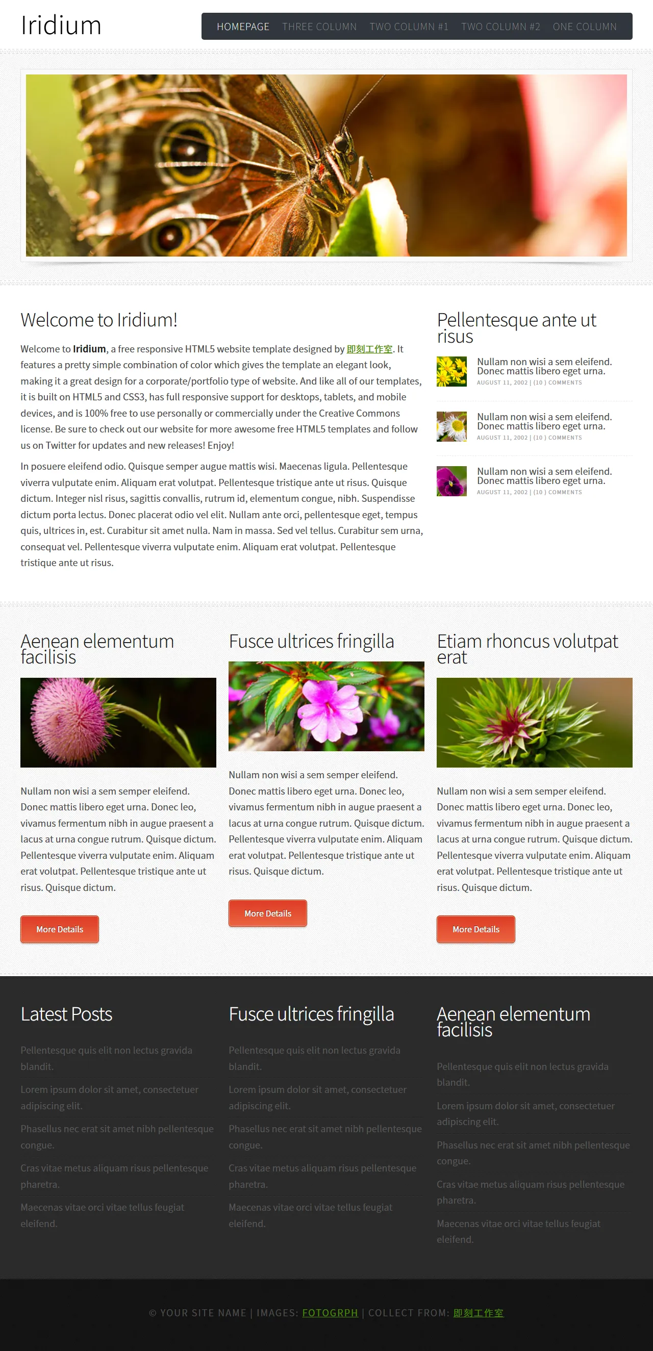 网页设计网站模板